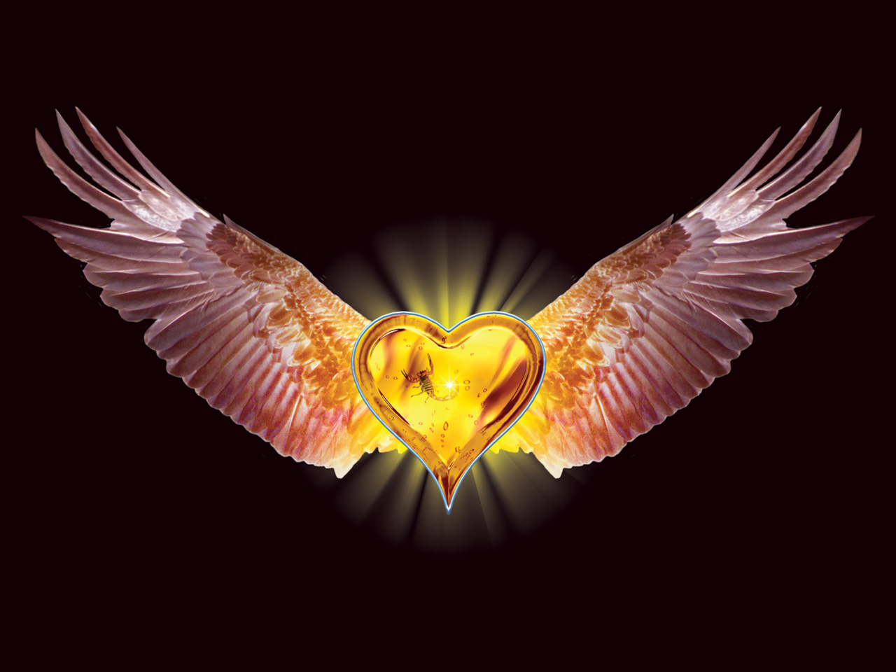 Wallpaper Stratovarius Eagle Heart Wings Valentine