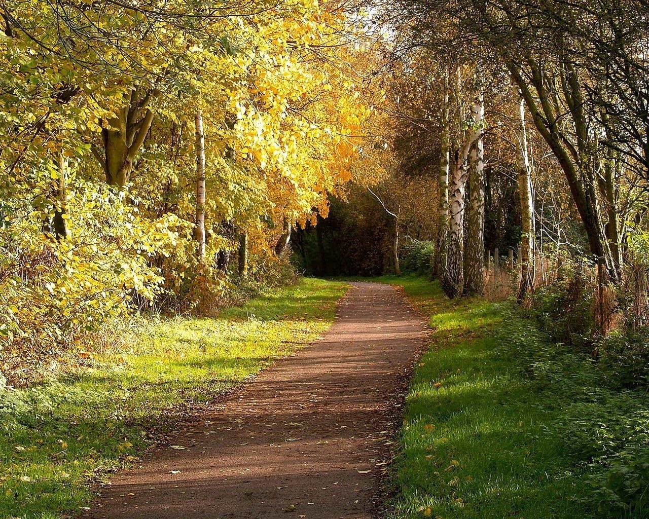 HD Autumn Wallpaper For Desktop Pixhome