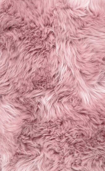 Fur Wallpaper HD