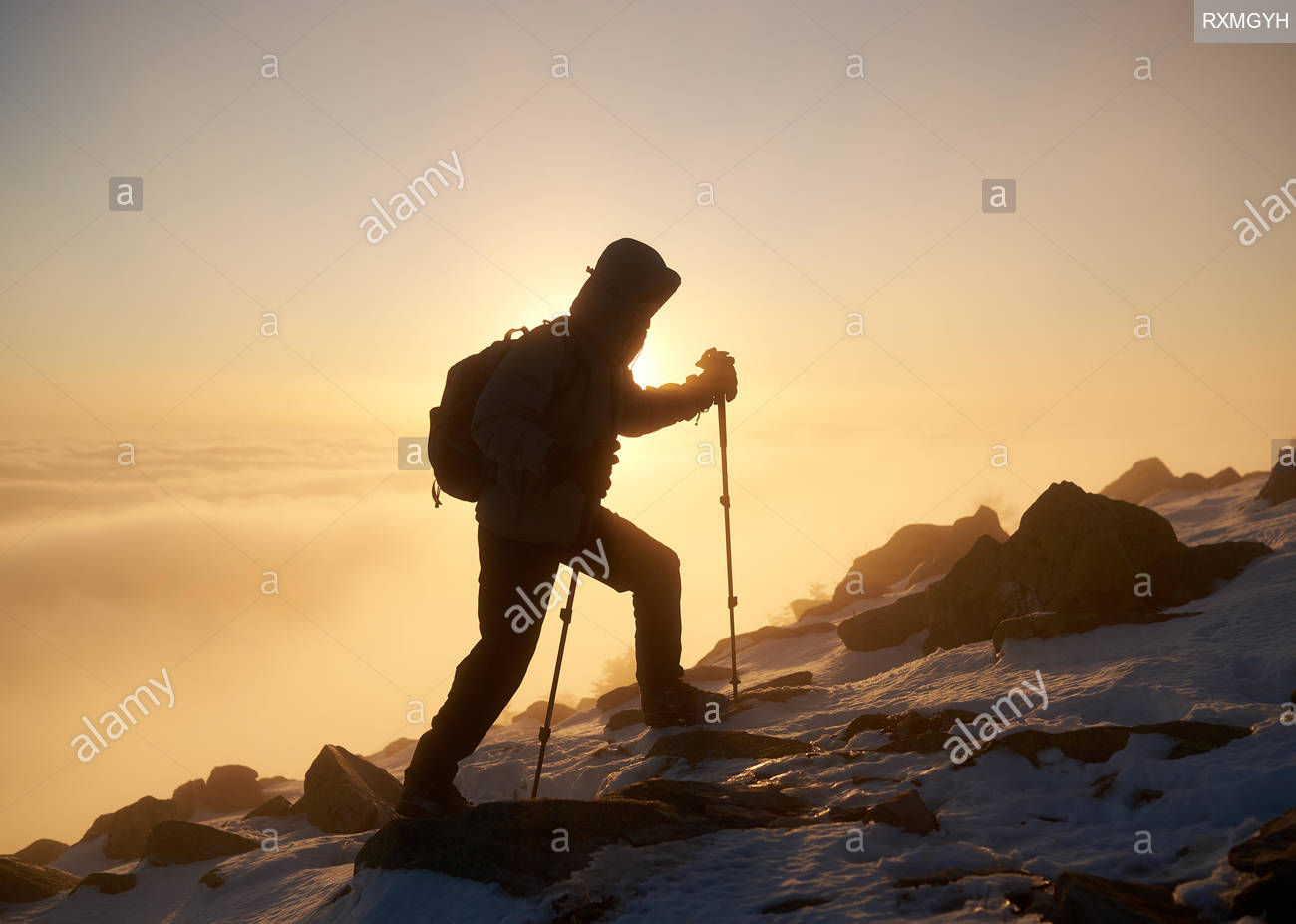 Silhouette Of Tourist Hiker With Backpack And Hiking Sticks