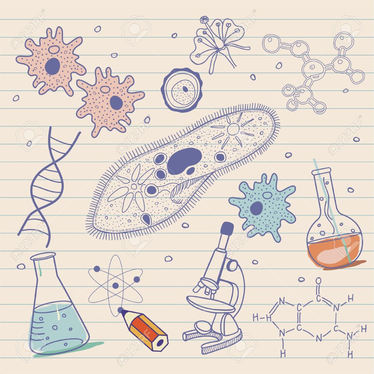 Biology Sketches Background In Vintage Style Royalty Free Cliparts