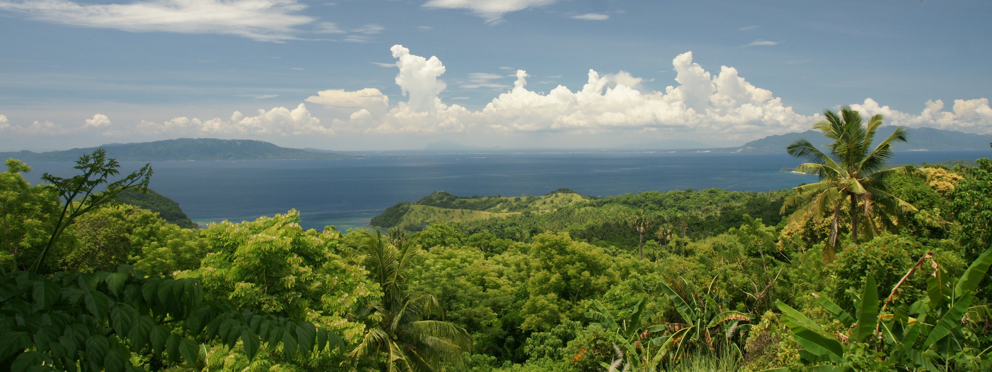 Blue Ocean Tropical Island Scenery