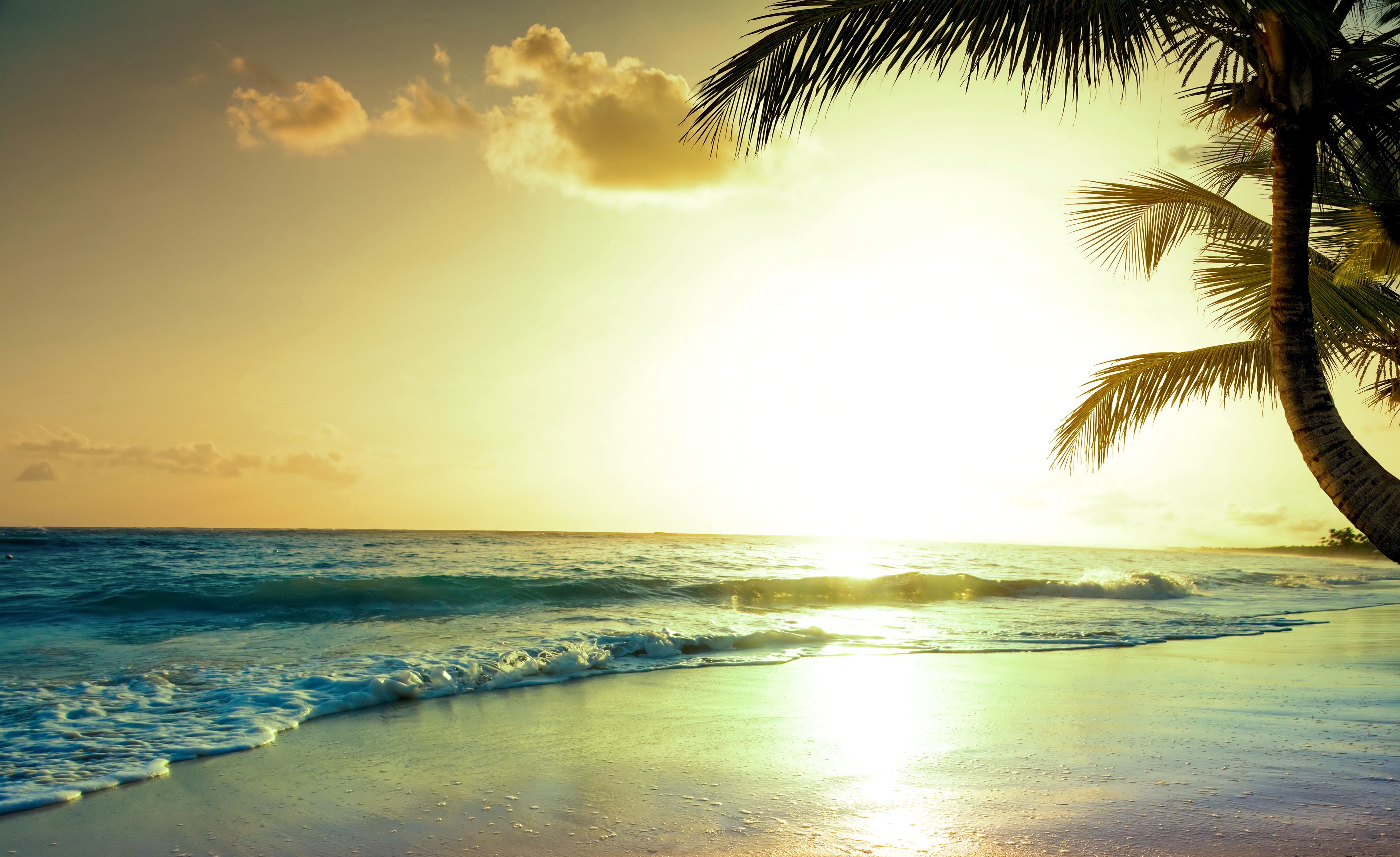 Tropical beach at sunset with palm tree silhouette