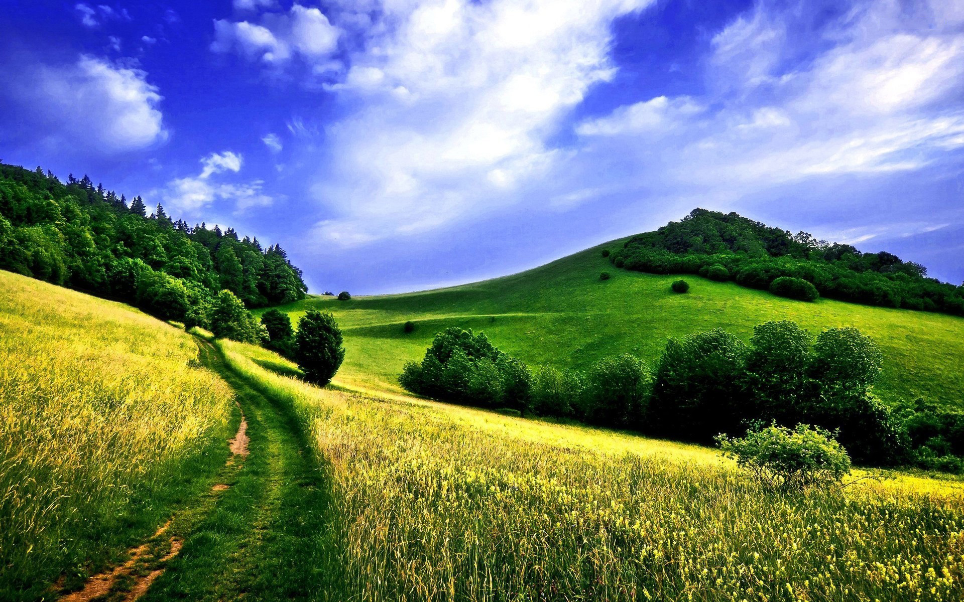 Country Road In A Green Field HD Wallpaper For Desktop