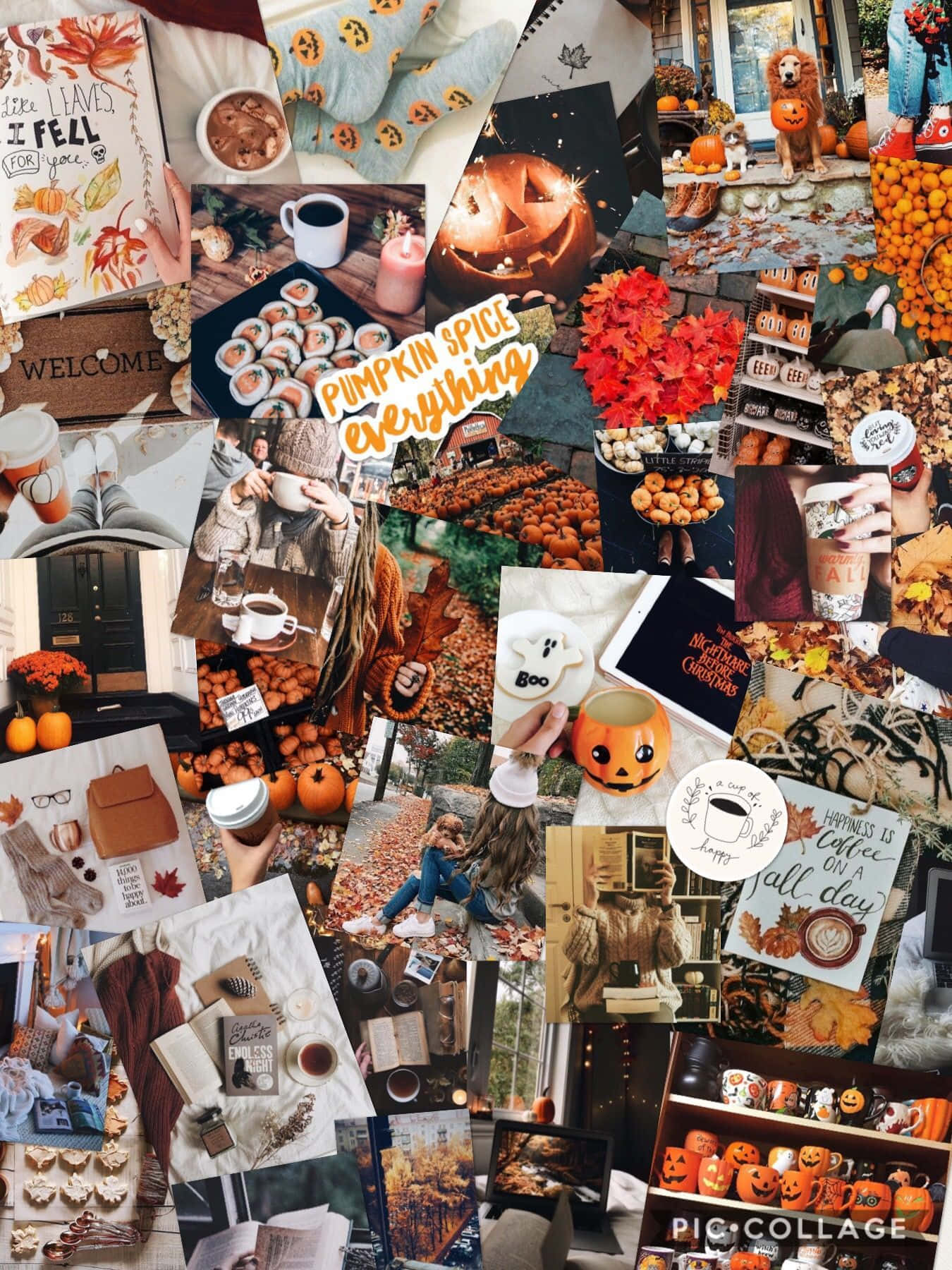 Halloween Aesthetic Girl Wallpaper