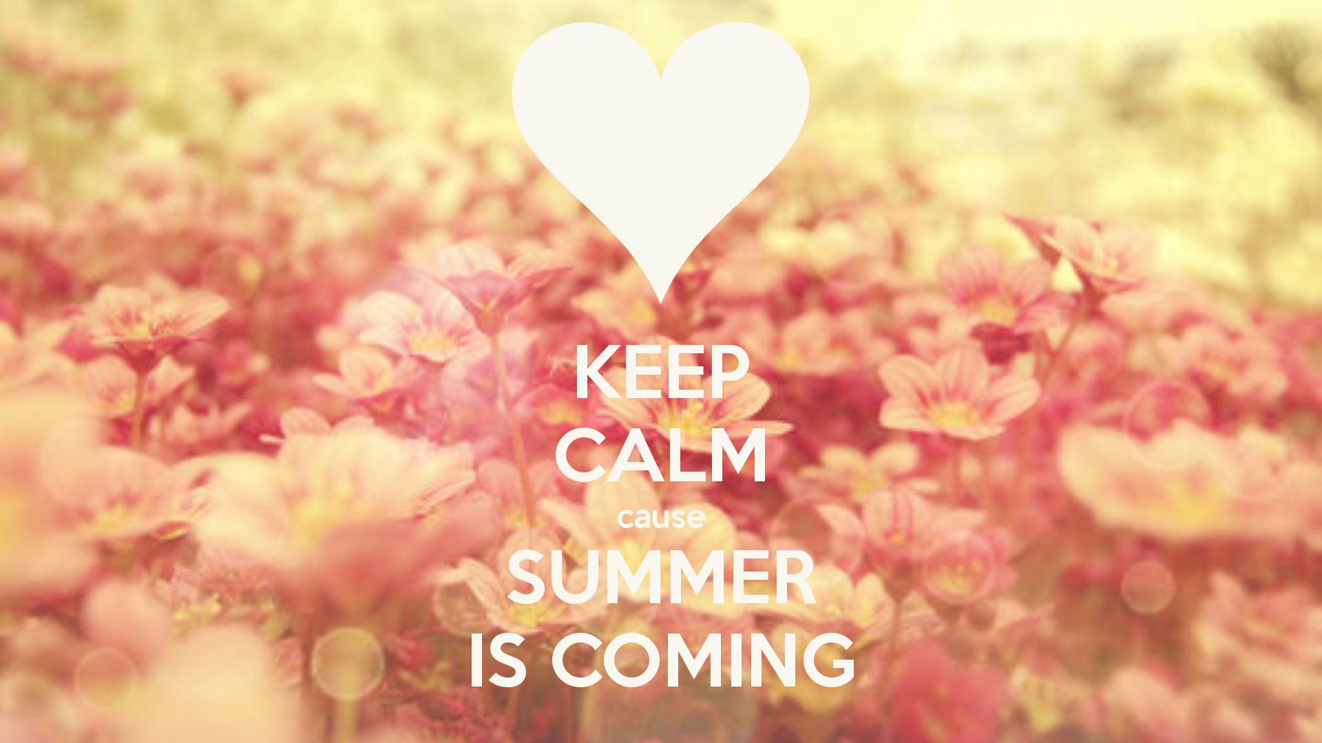 Keep Calm Cause Summer Is Coming Pictures Photos and Images for