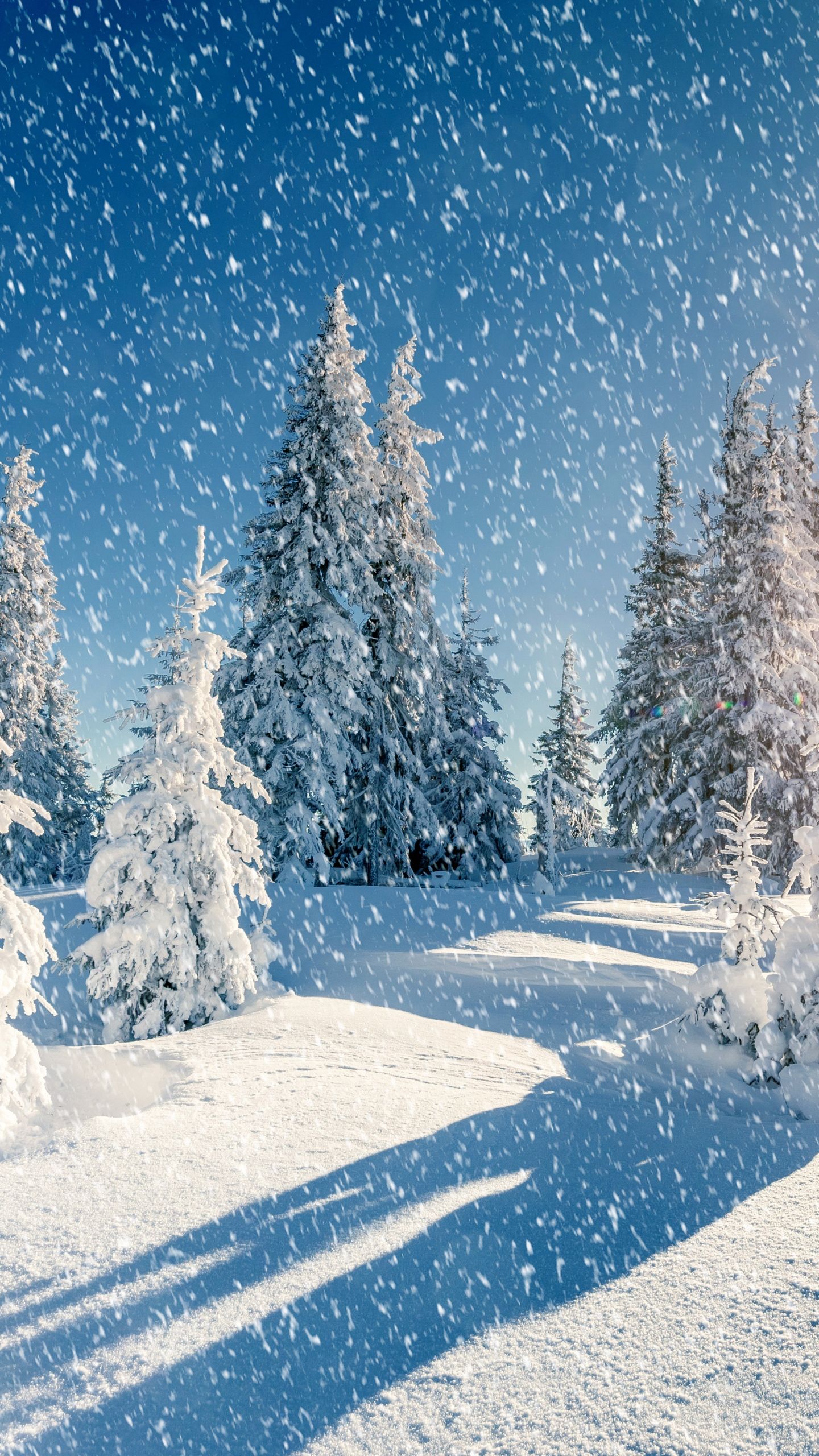 Snow Aesthetic Wallpaper
