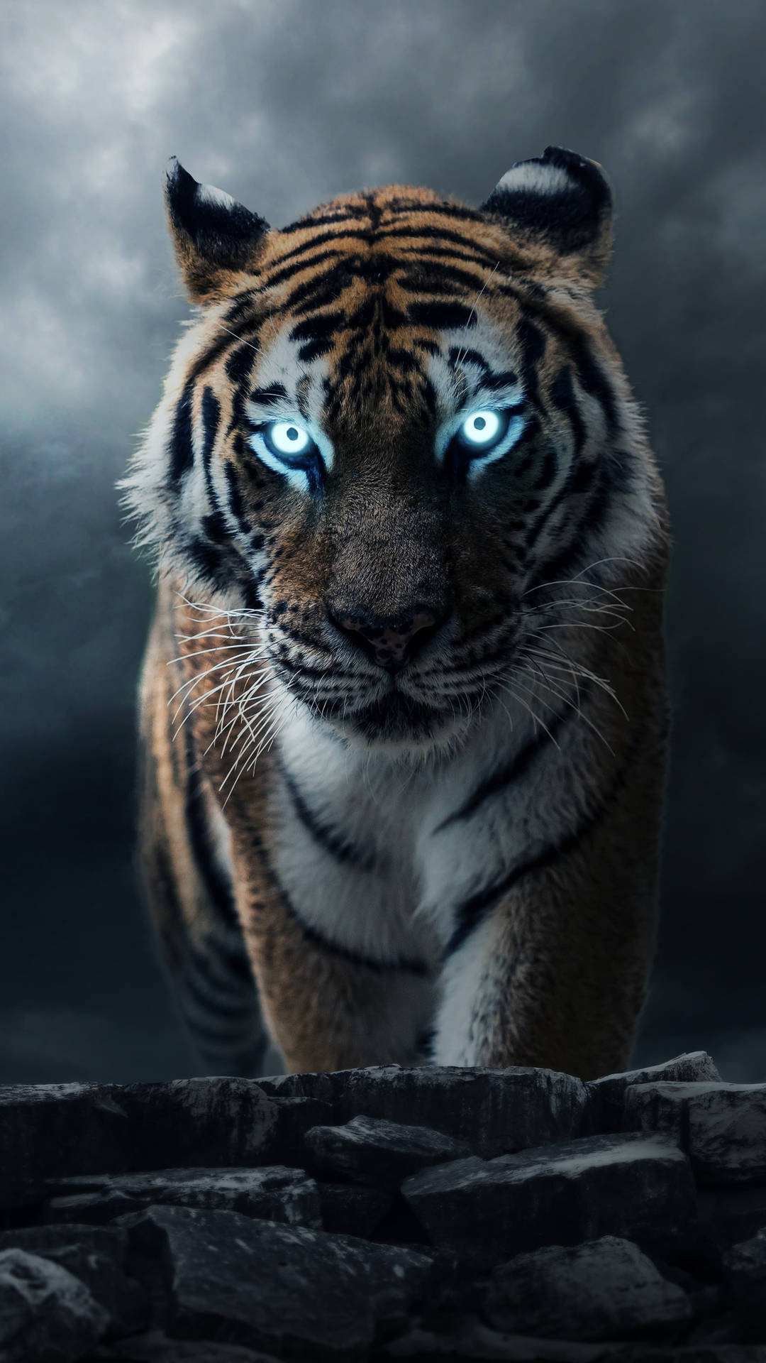 A majestic tiger with glowing blue eyes stares intensely, set against a stormy sky. This cool tiger wallpaper embodies power and mystery