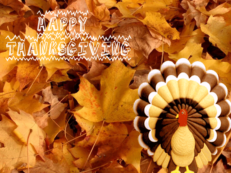 Animated Thanksgiving Wallpaper