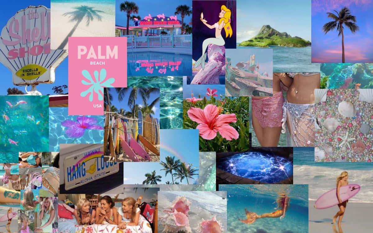Palm Beach Collage Wallpaper