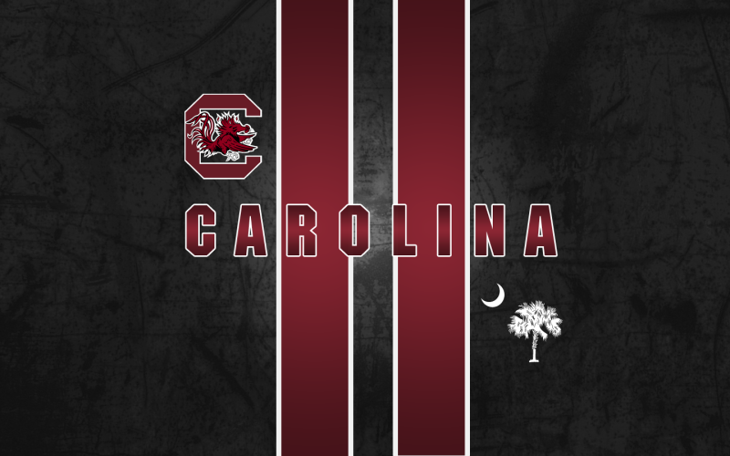 [47+] South Carolina Gamecock Wallpaper on WallpaperSafari