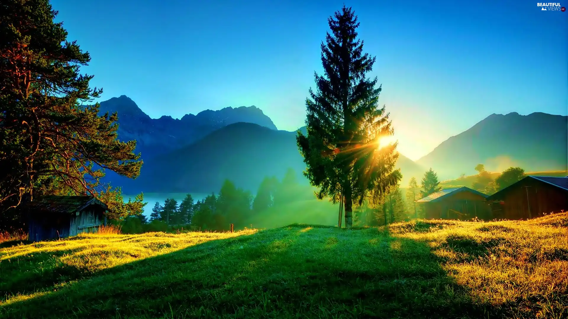 Rays Of The Sun Trees Meadow Fog Mountains Wallpaper