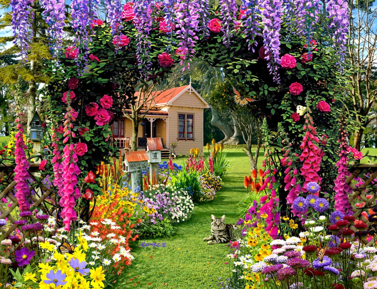 Flower Garden Wallpaper Or Background Diariesofafashionfreak