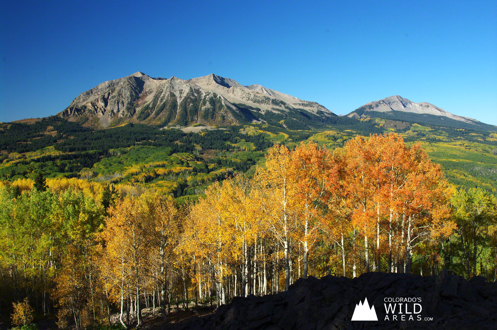 Colorado S Fall Colors Wallpaper Wild Areas