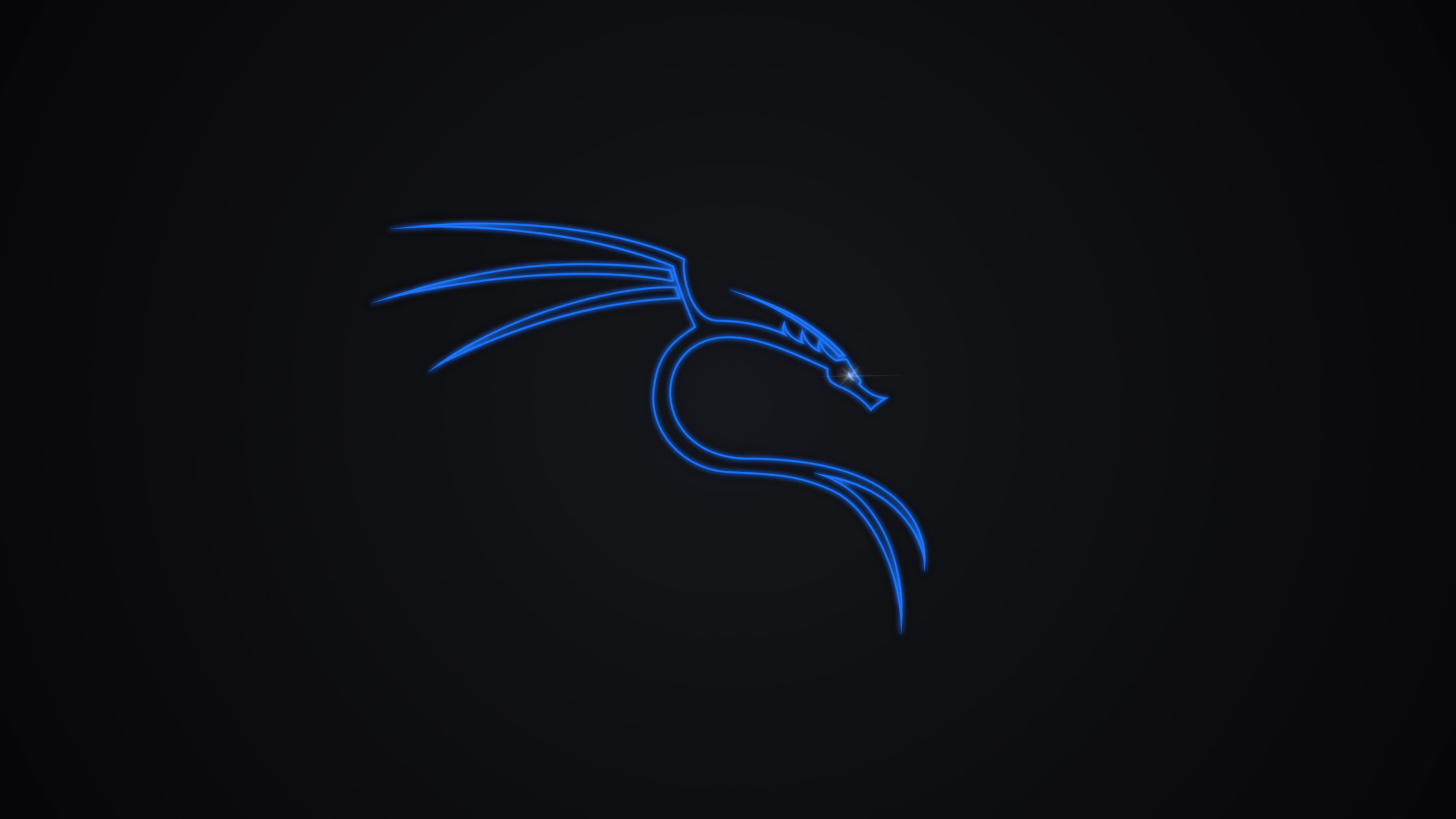 Kali Linux Dragon 5k Wallpaper Resolution HD 4k