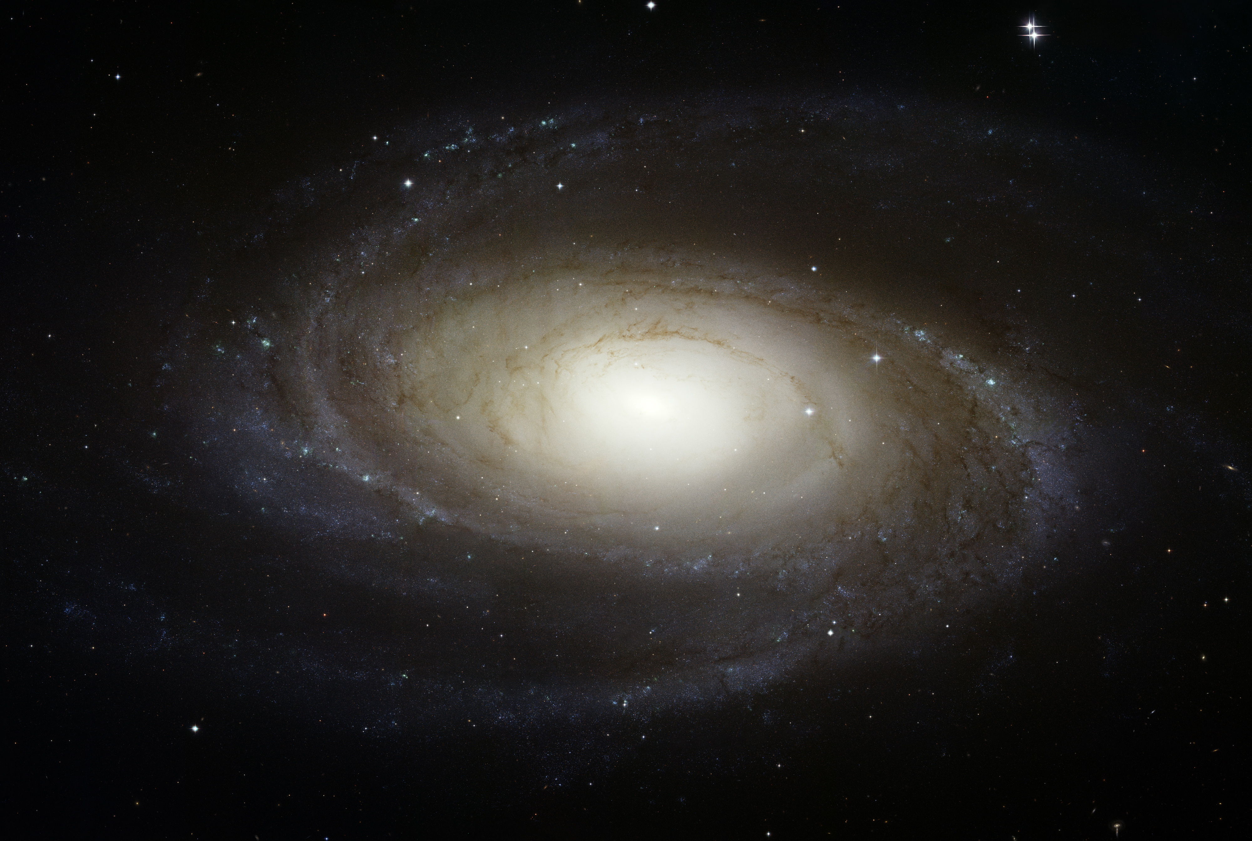 Hubble Photographs Grand Design Spiral Galaxy M81 Esa