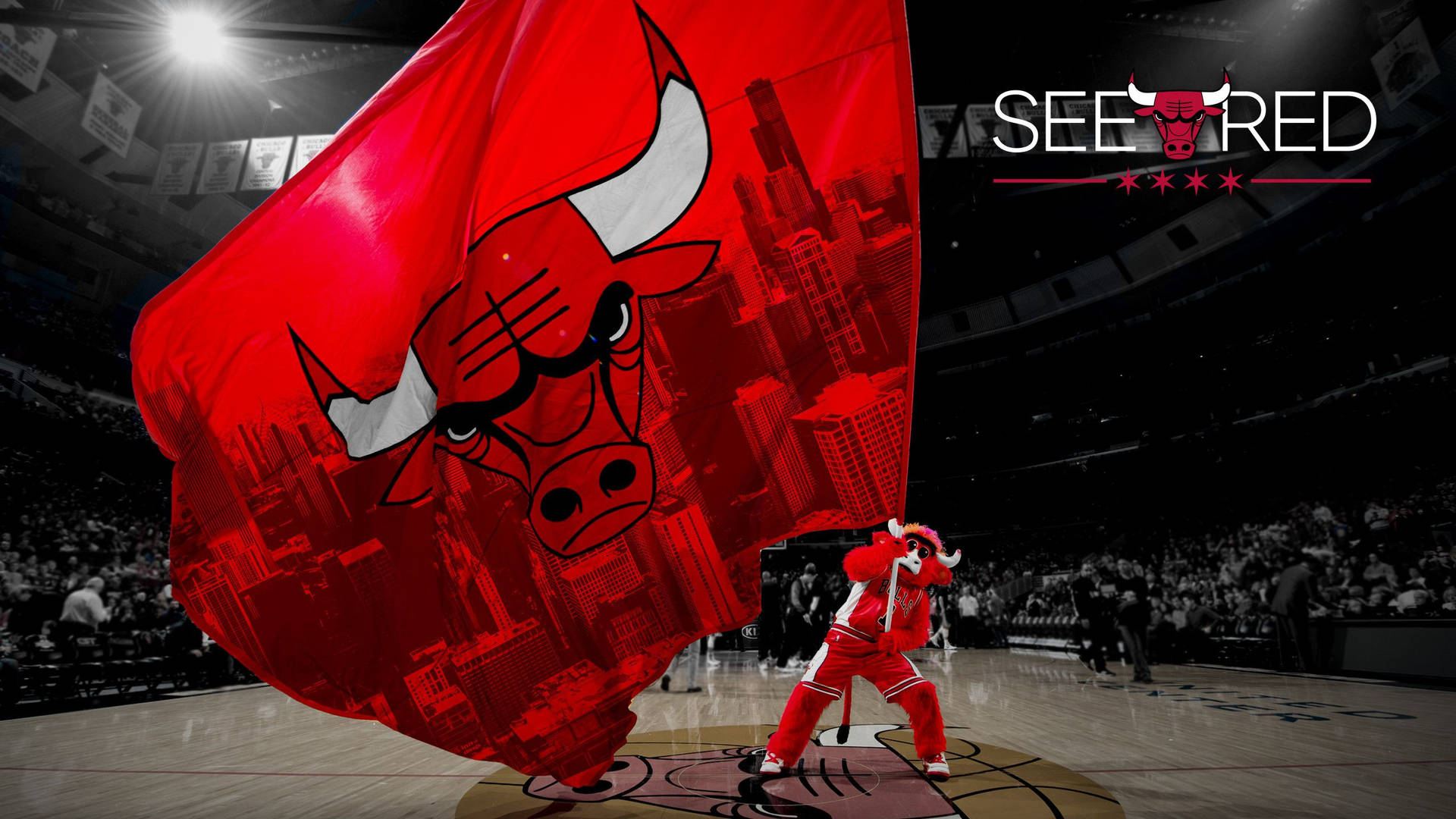 Benny The Bull Passionate Mascot Of Chicago Bulls Wallpaper