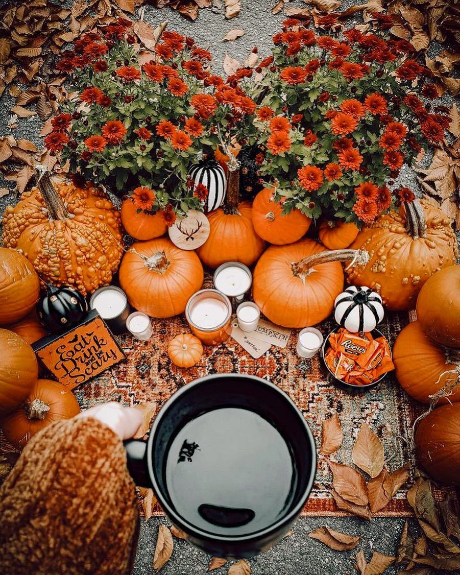Picture Fall Wallpaper