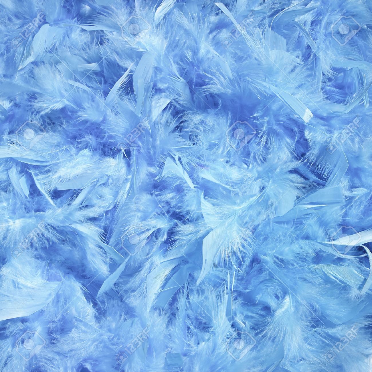 Fluffy Background Blue Feathers Stock Photo Picture And Royalty