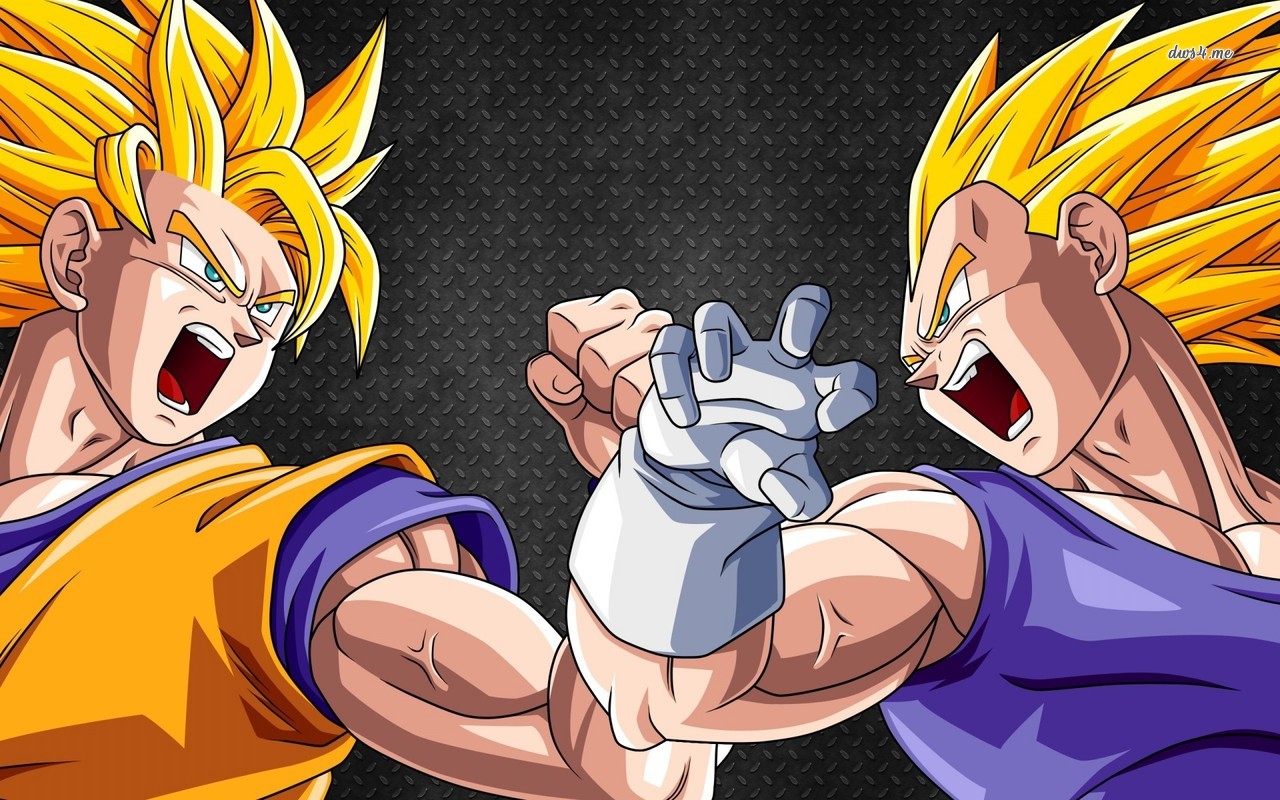Goku Vs Vegeta Dragon Ball Z Wallpaper Anime