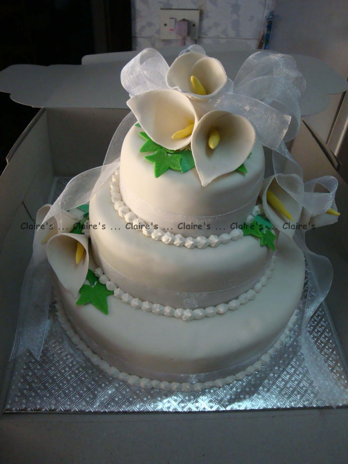 Free download nmYmhWHC78ATlMbvhT2fYIAAAAAAAAAUQ