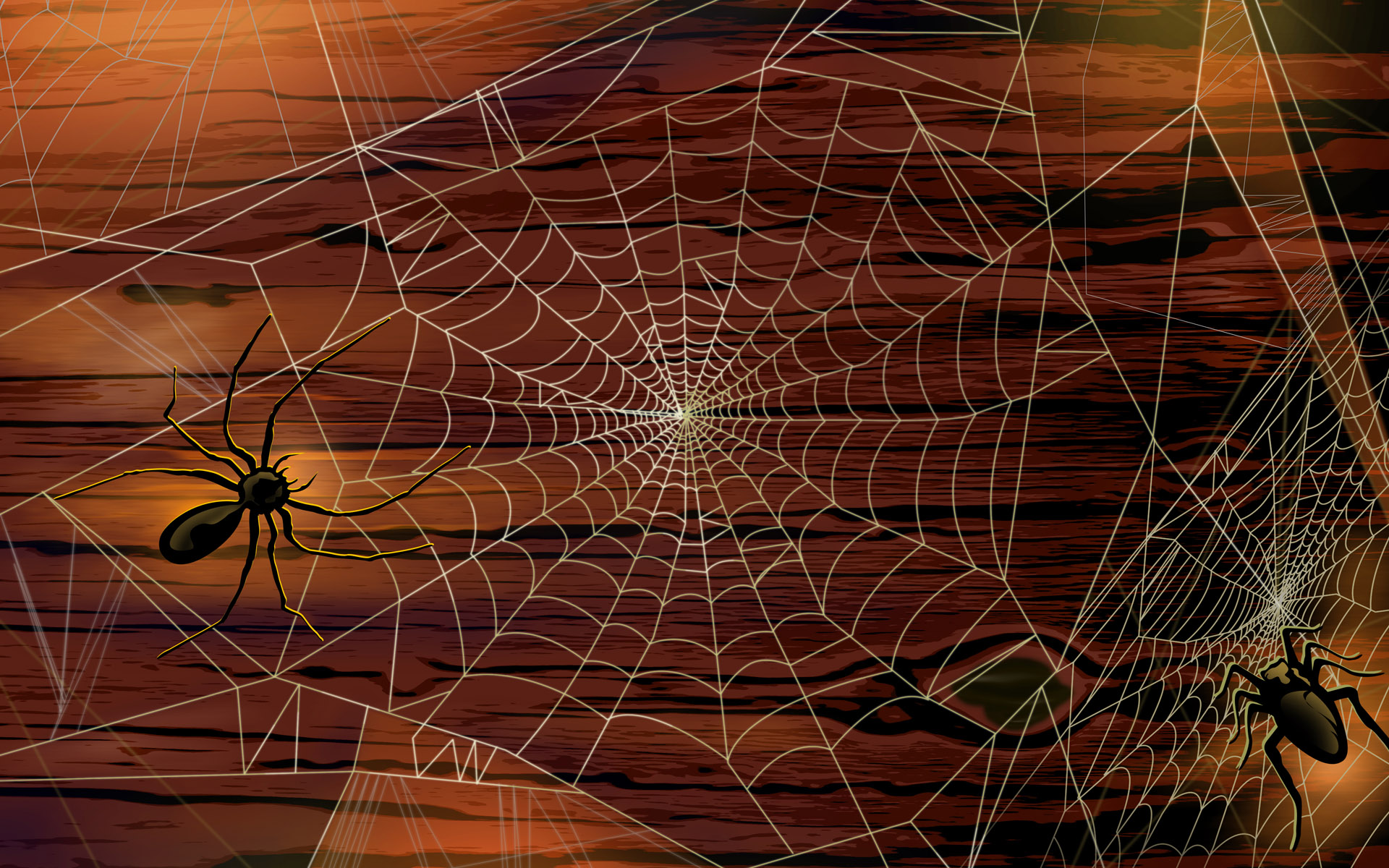 Scary Halloween HD Wallpaper Pumpkins Witches Spider Web