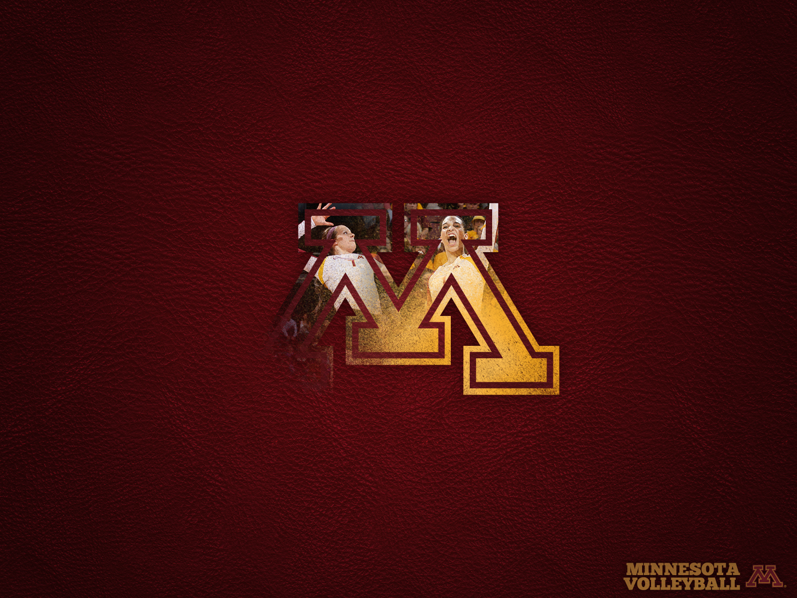 Gophersports University Of Minnesota Official Athletic Site