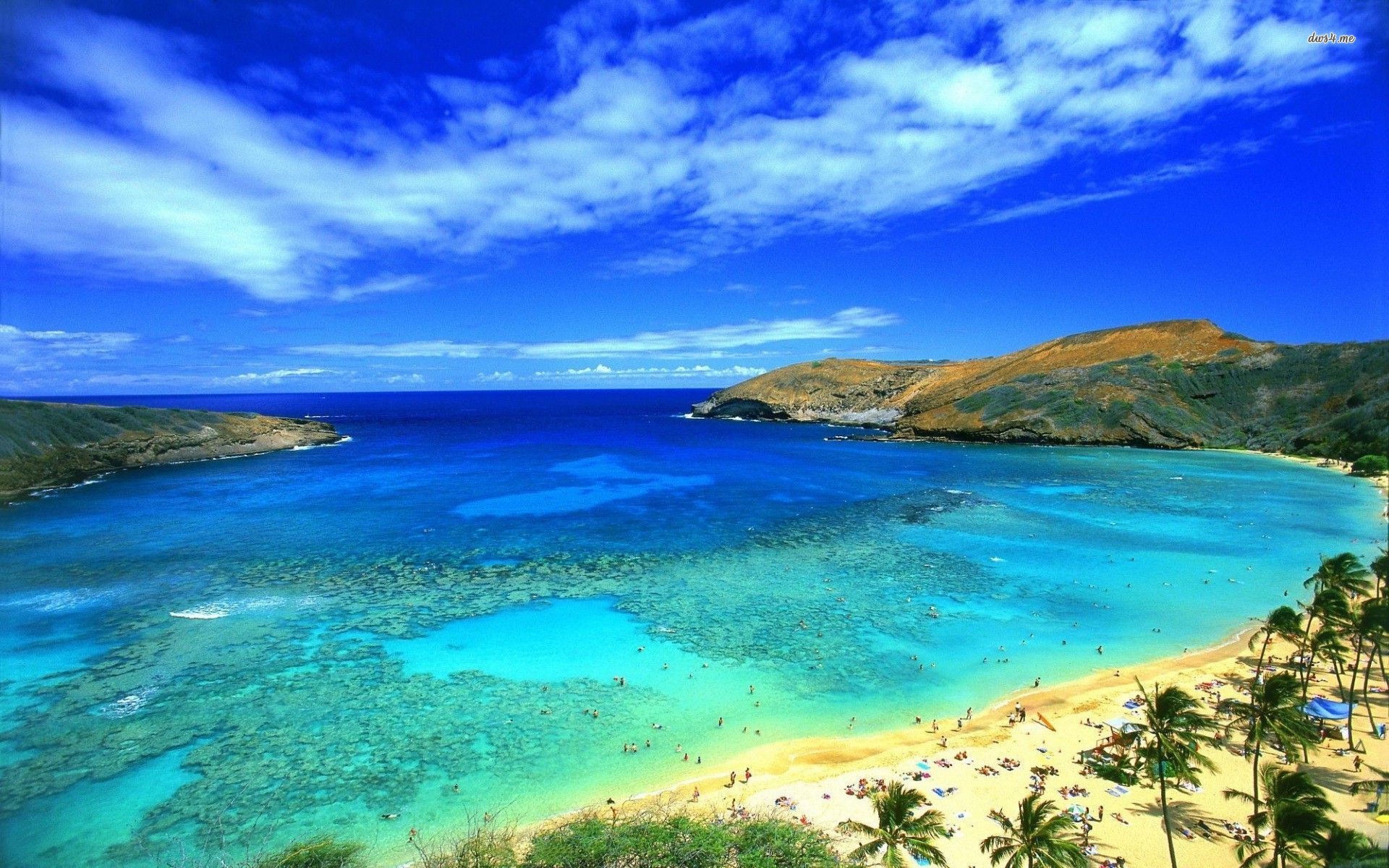 Blue Sky On Hawaii Beach Wallpaper HD