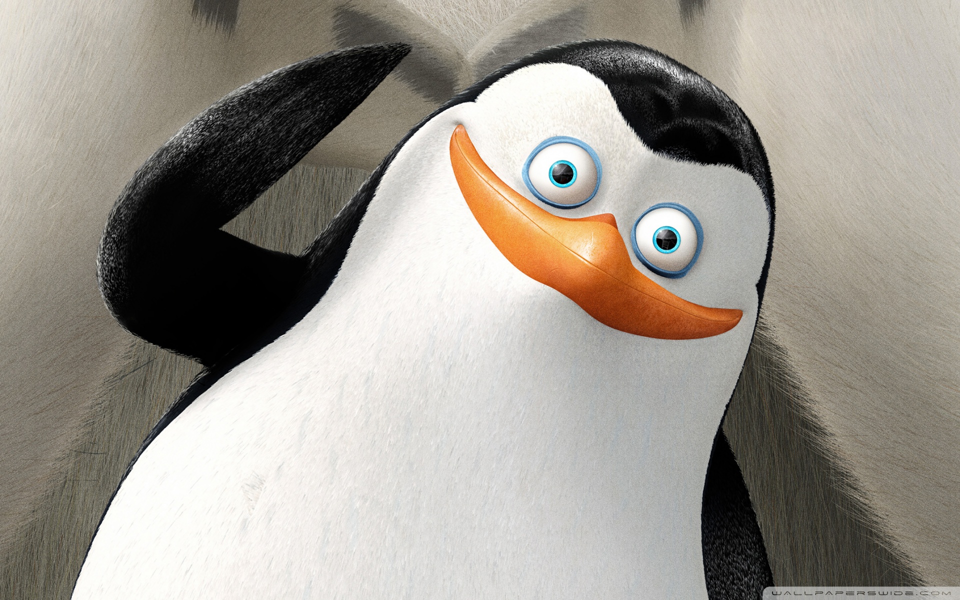 Private Penguins Of Madagascar 4k HD Desktop Wallpaper For