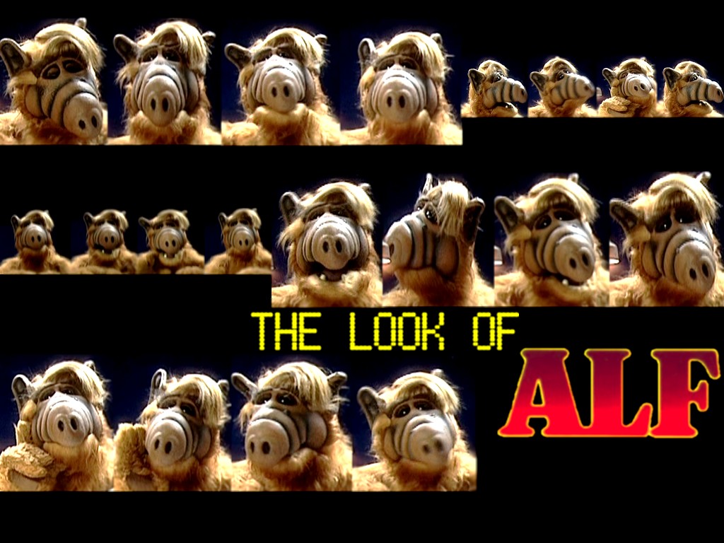 Image In Database Alf Wallpaper