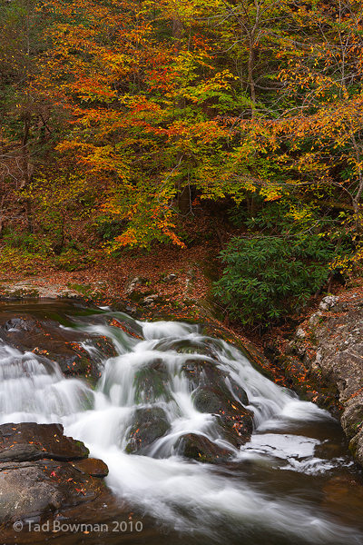 Smoky Mountains Waterfall