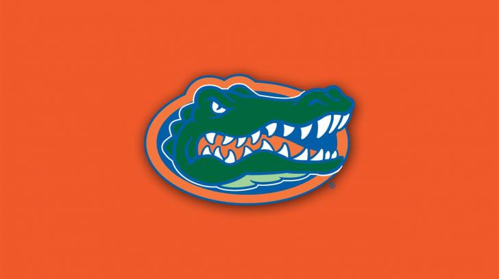 Florida gators   49524   High Quality and Resolution Wallpapers on