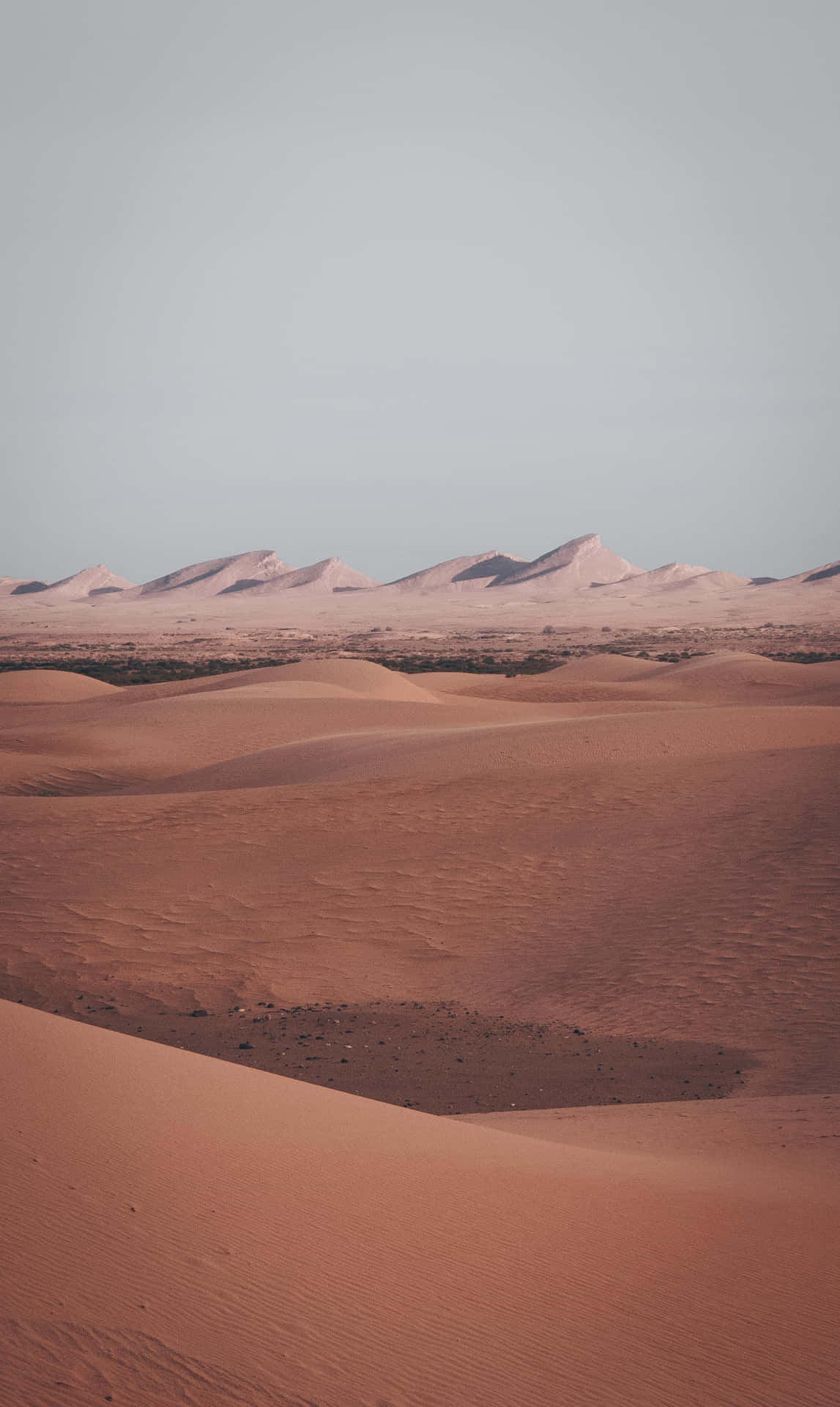 Desert Aesthetic Wallpaper