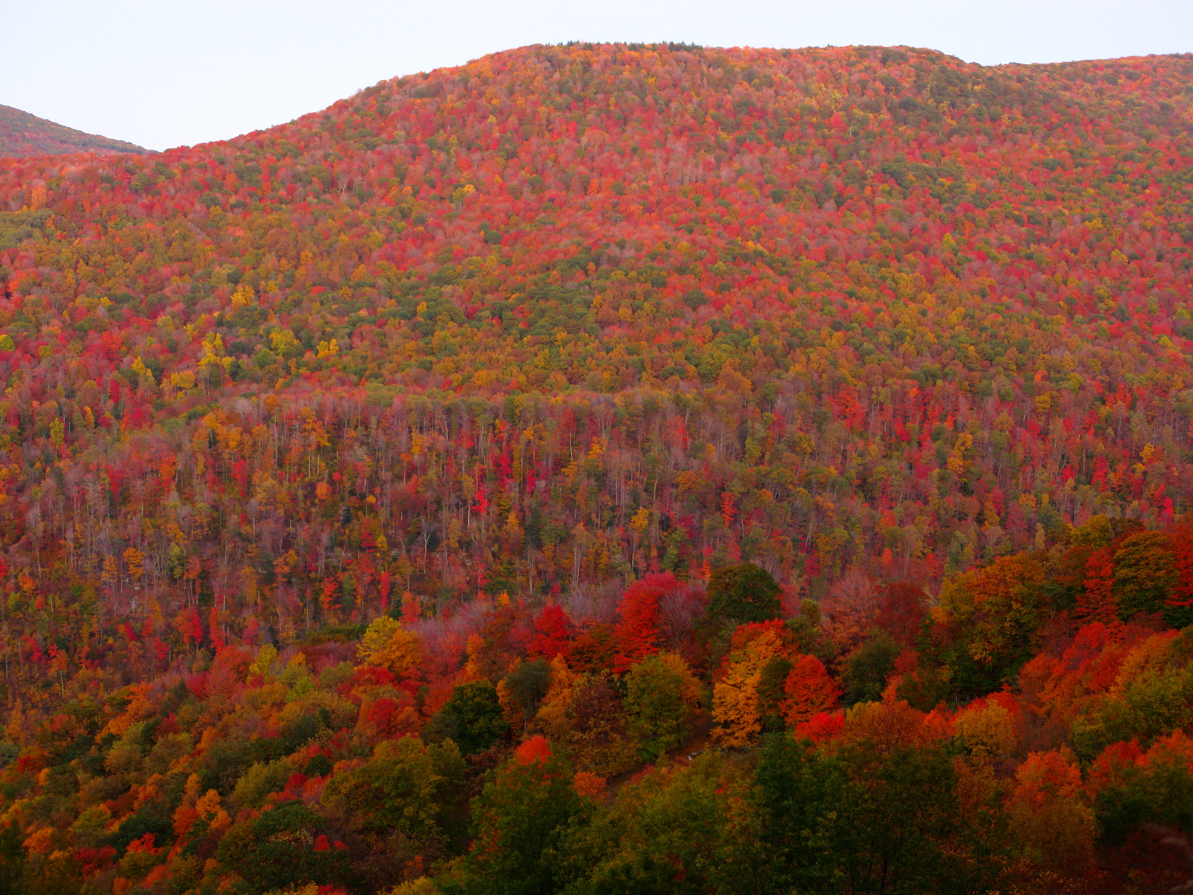 Fall Foliage Mountain Colors S Nature Pictures By