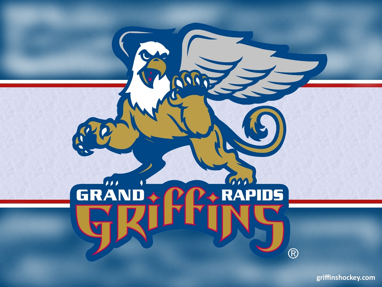 Grand Rapids Griffins Wallpapers