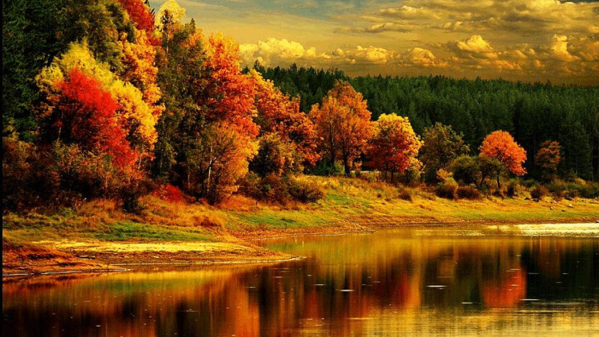 21 Best Fall Foliage Wallpaper - Wall Gallery