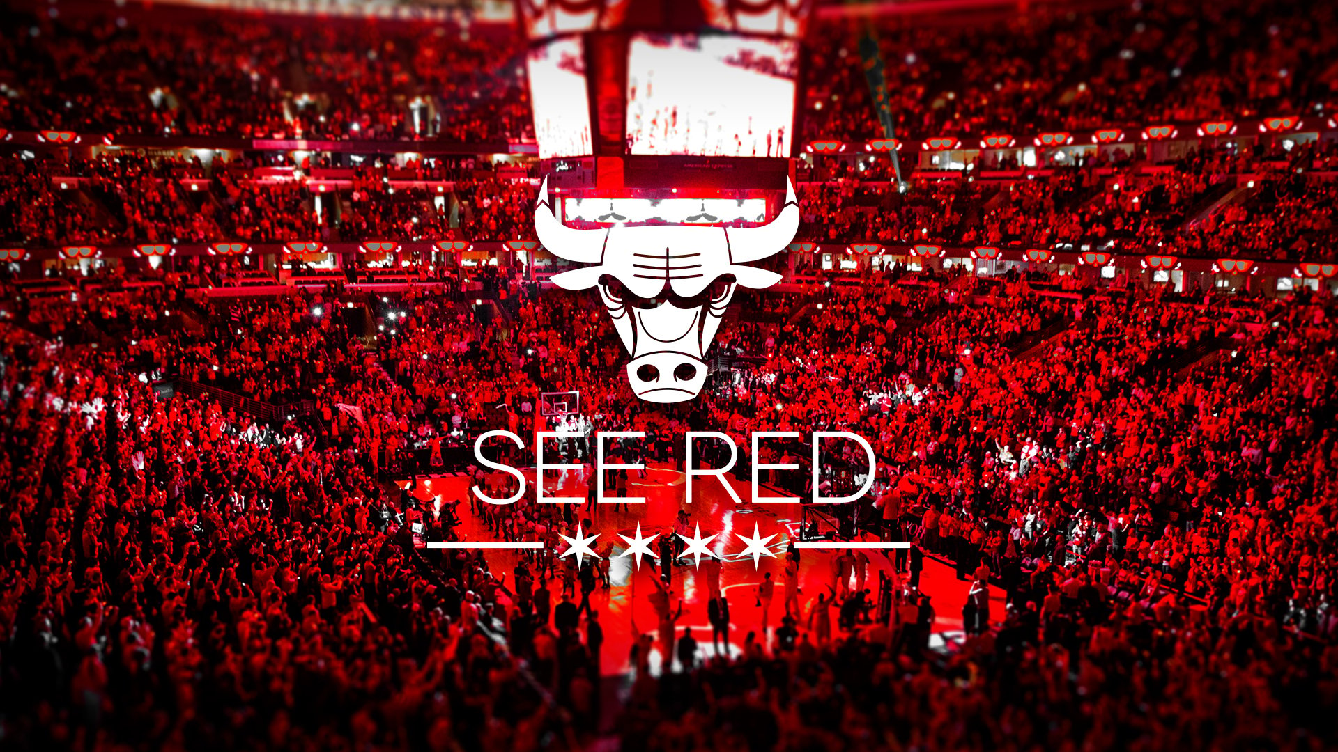 Chicago Bulls Wallpaper See Red wallpaper