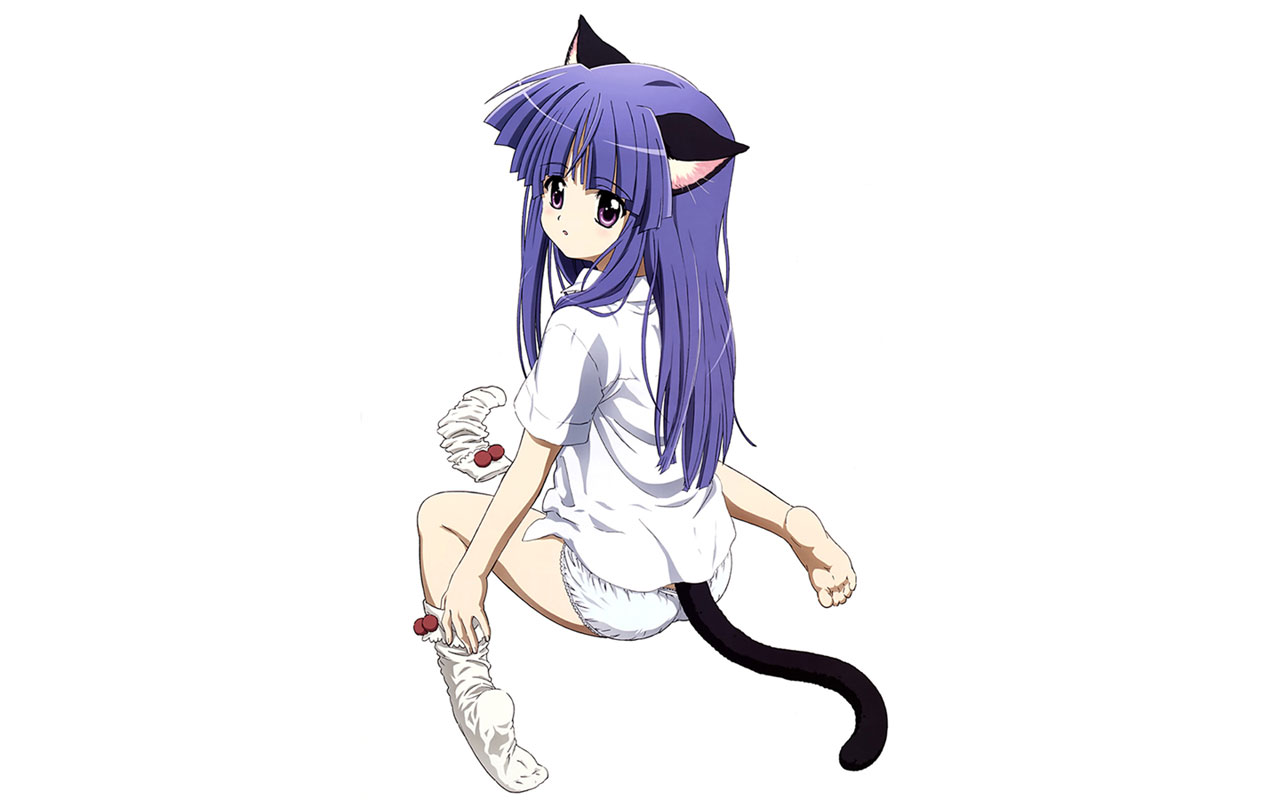 Anime Wallpaper Cat Girl
