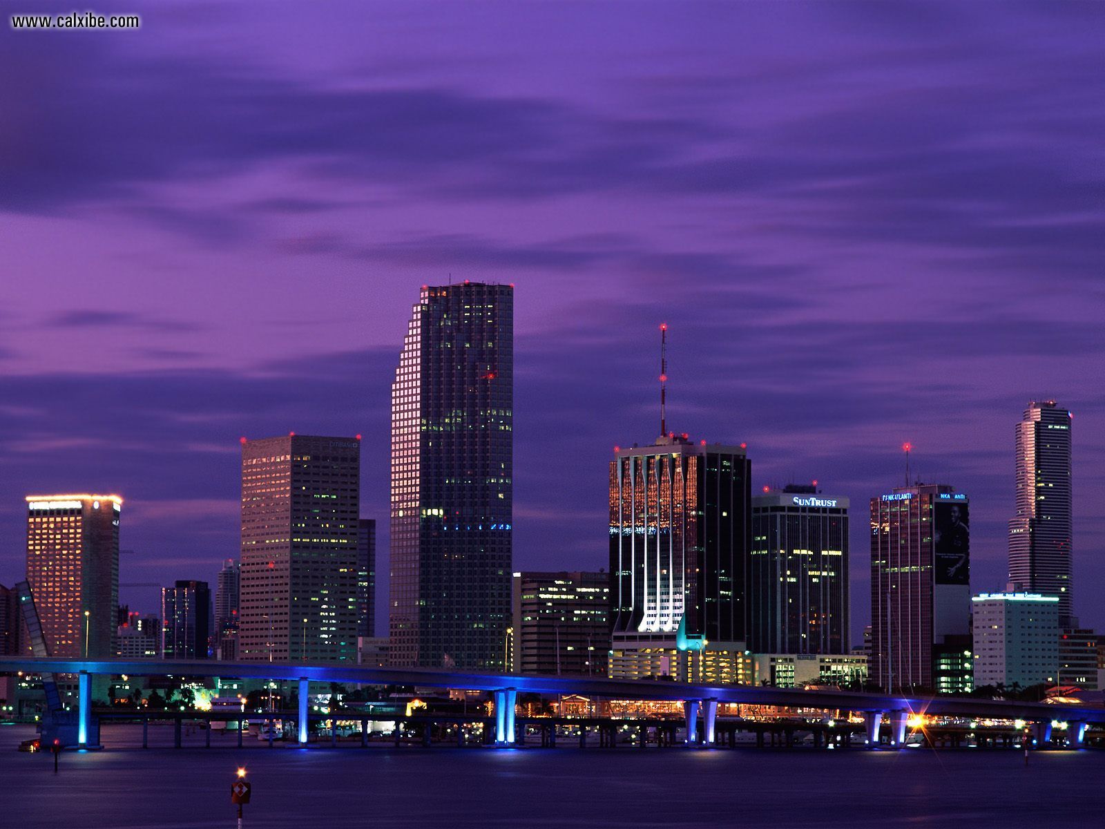Miami Florida at Night