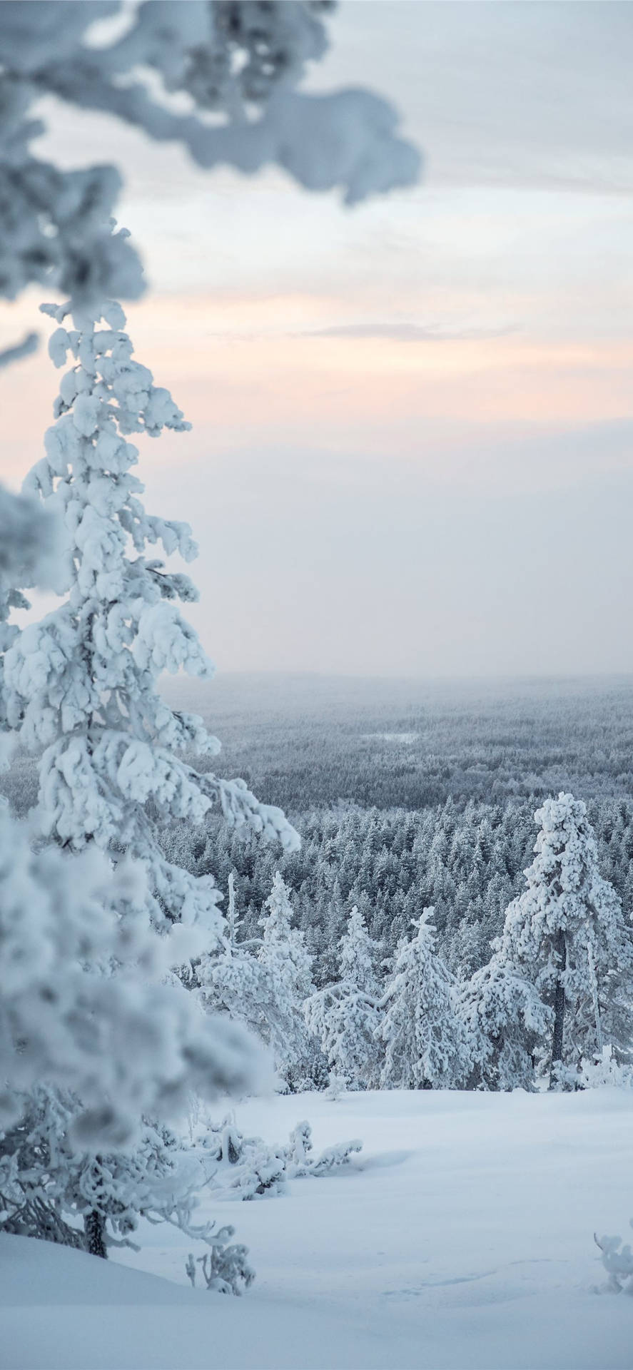 Cute Winter iPhone Wallpaper
