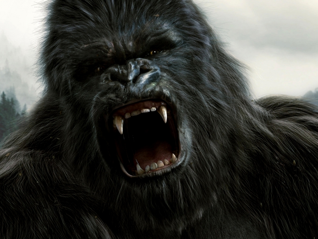 King Kong Wallpaper Angry Photos Of Choosing The Legendary