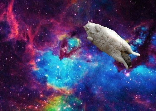 Galaxy Cat Bac
