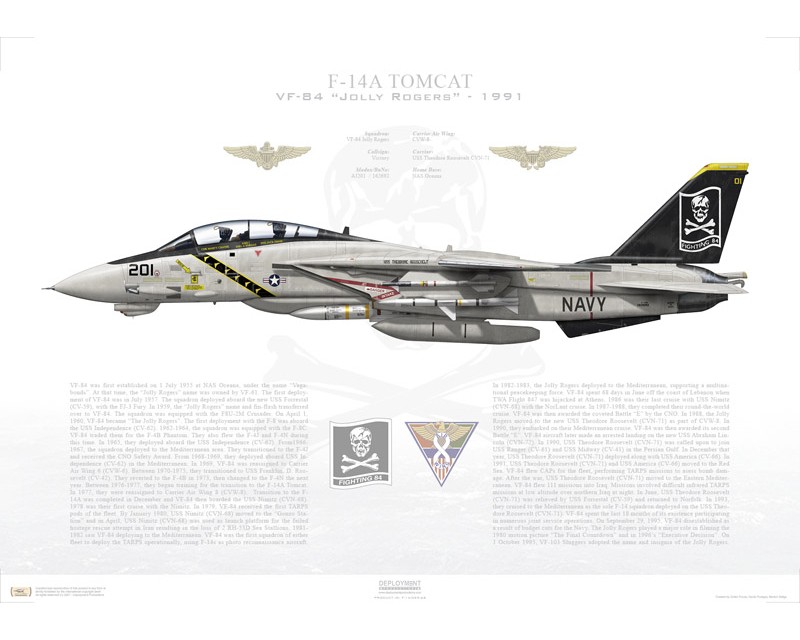 image f 14 tomcat jolly rogers pc android iphone and ipad wallpapers