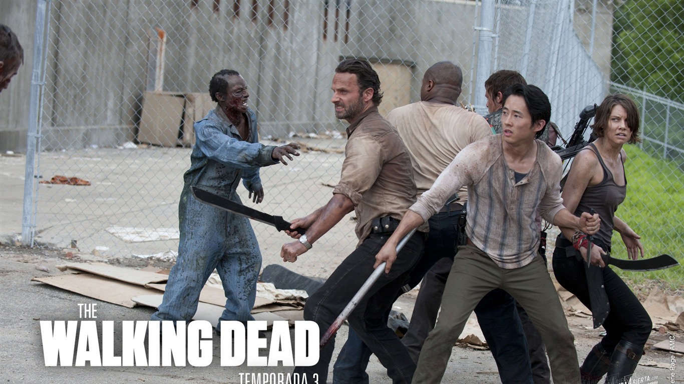 The Walking Dead American Tv Series Wallpaper