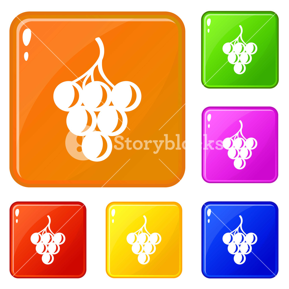 Sour Grape Icons Set Collection Vector Color Isolated On White