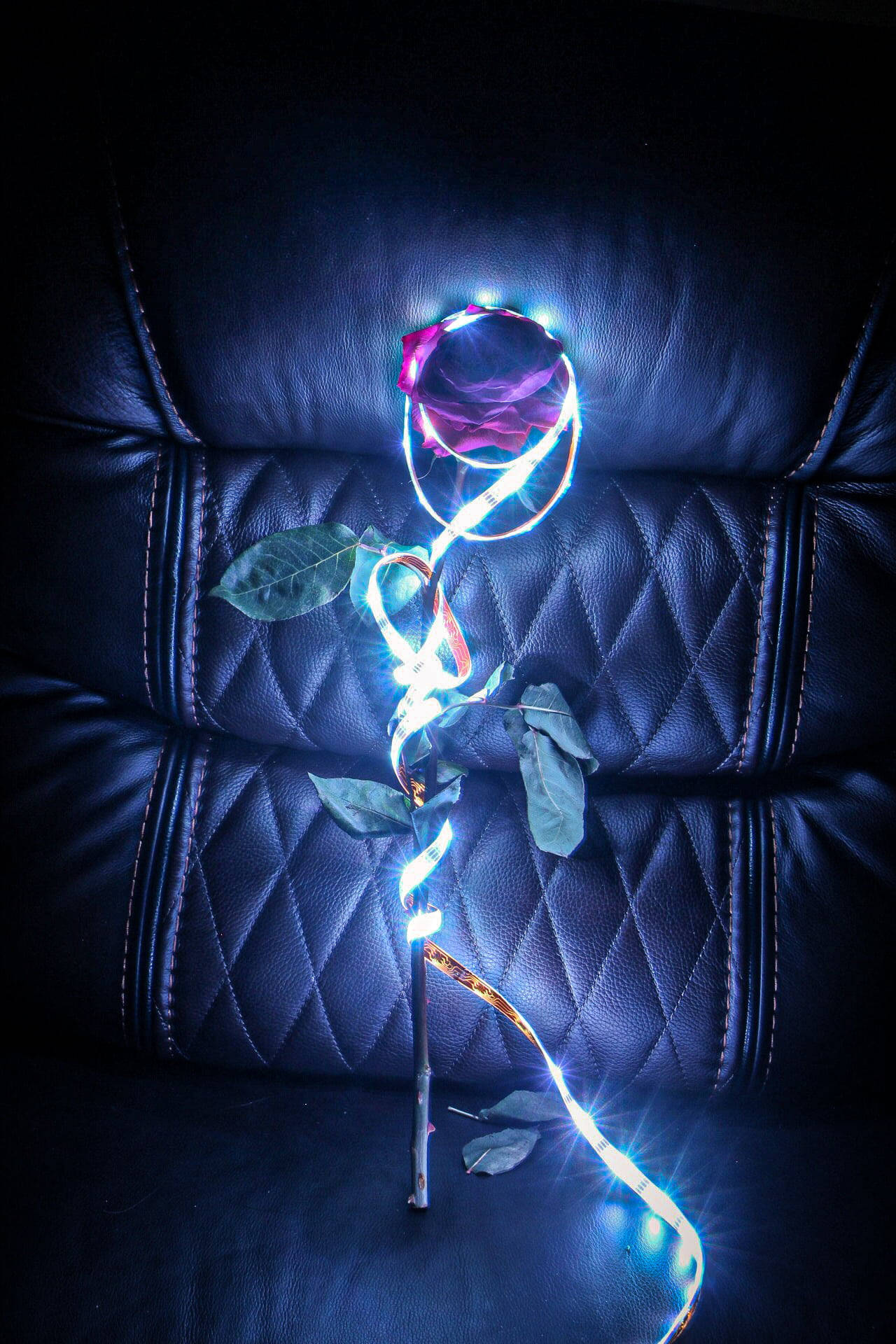 Neon Aesthetic iPhone Wallpaper
