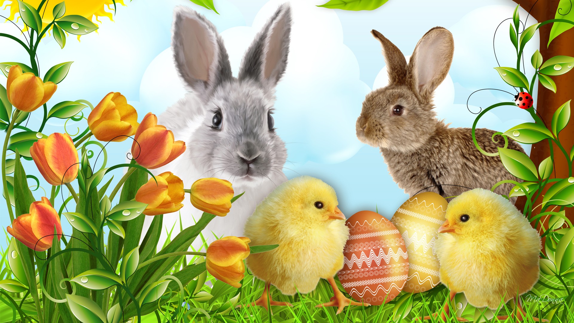 Alfa Img Showing Gt Happy Easter Egg Bunny Wallpaper