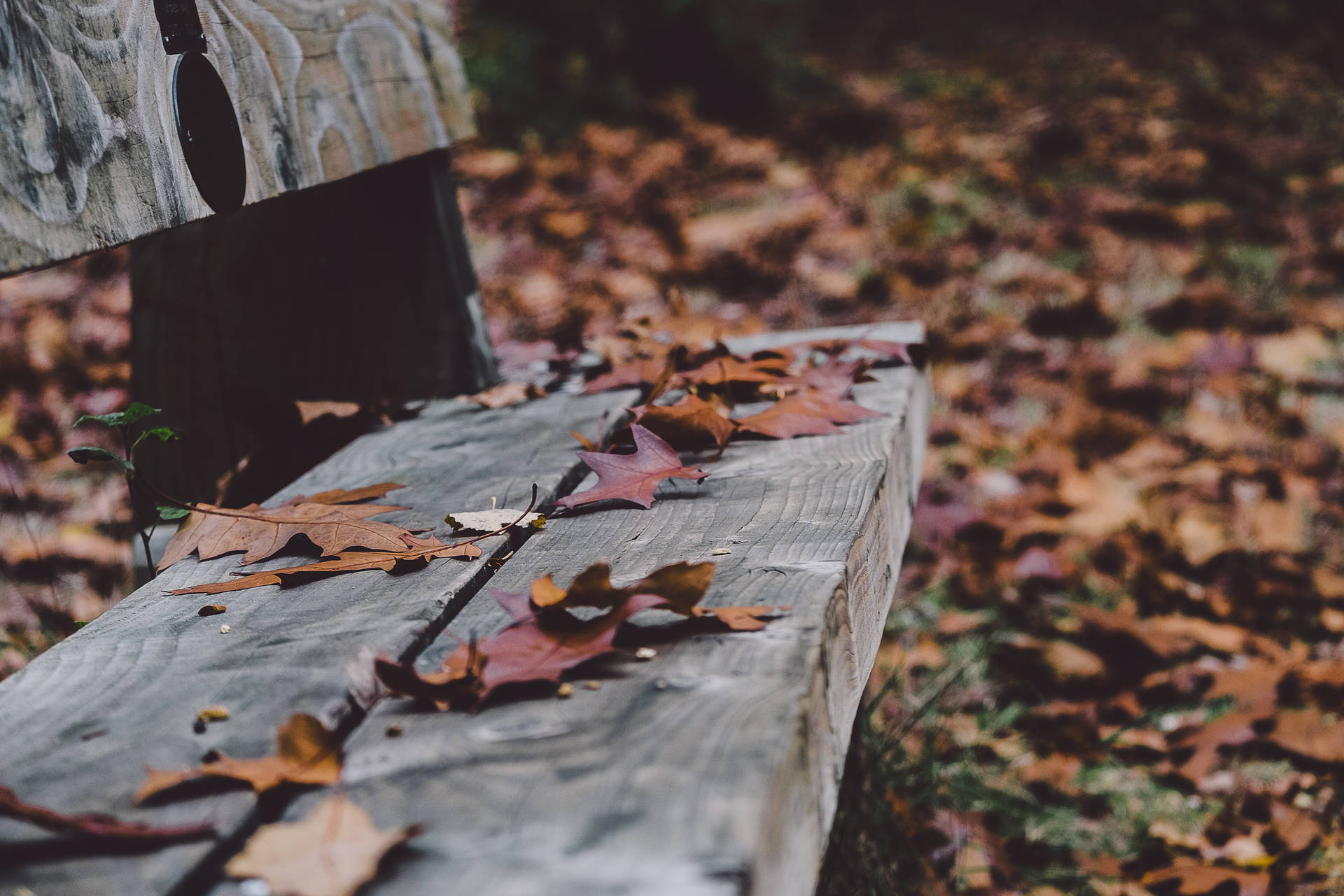 Cozy Autumn Wallpaper