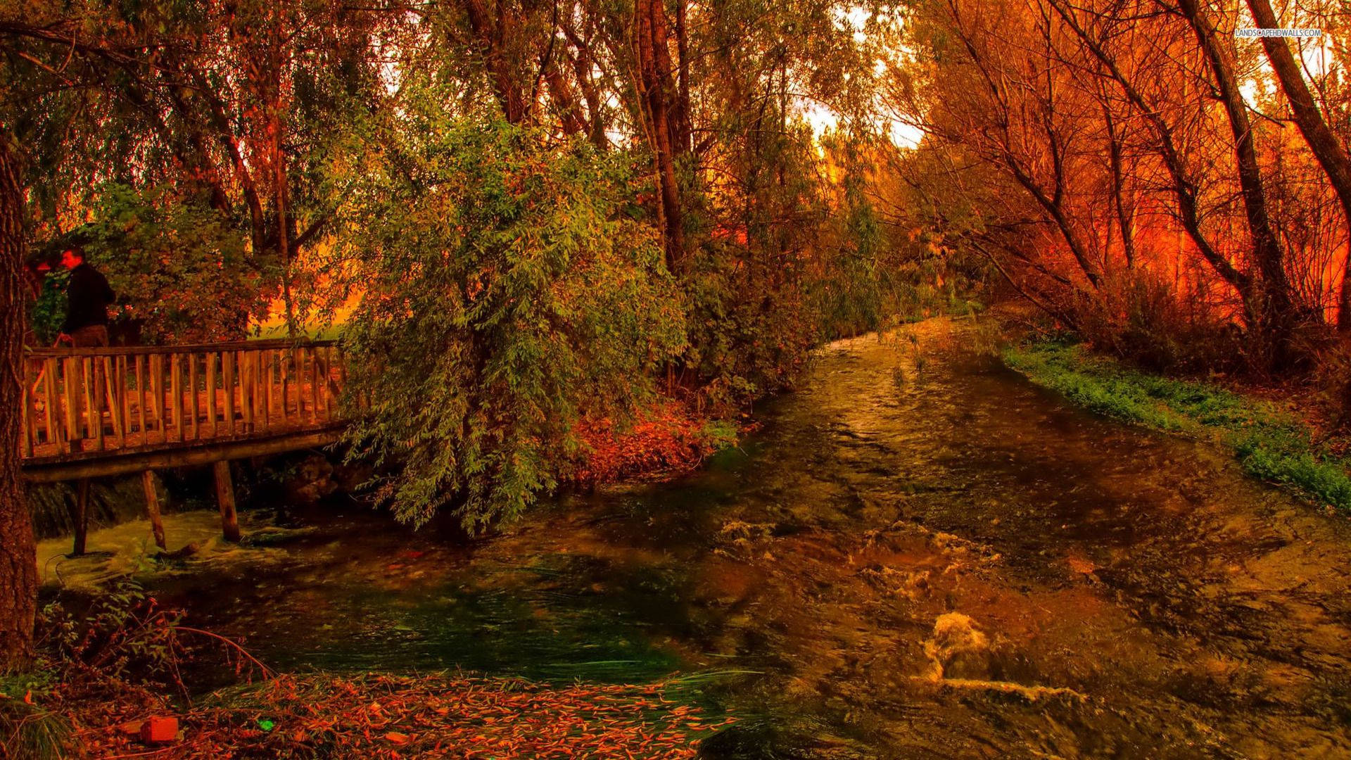 November Wallpaper