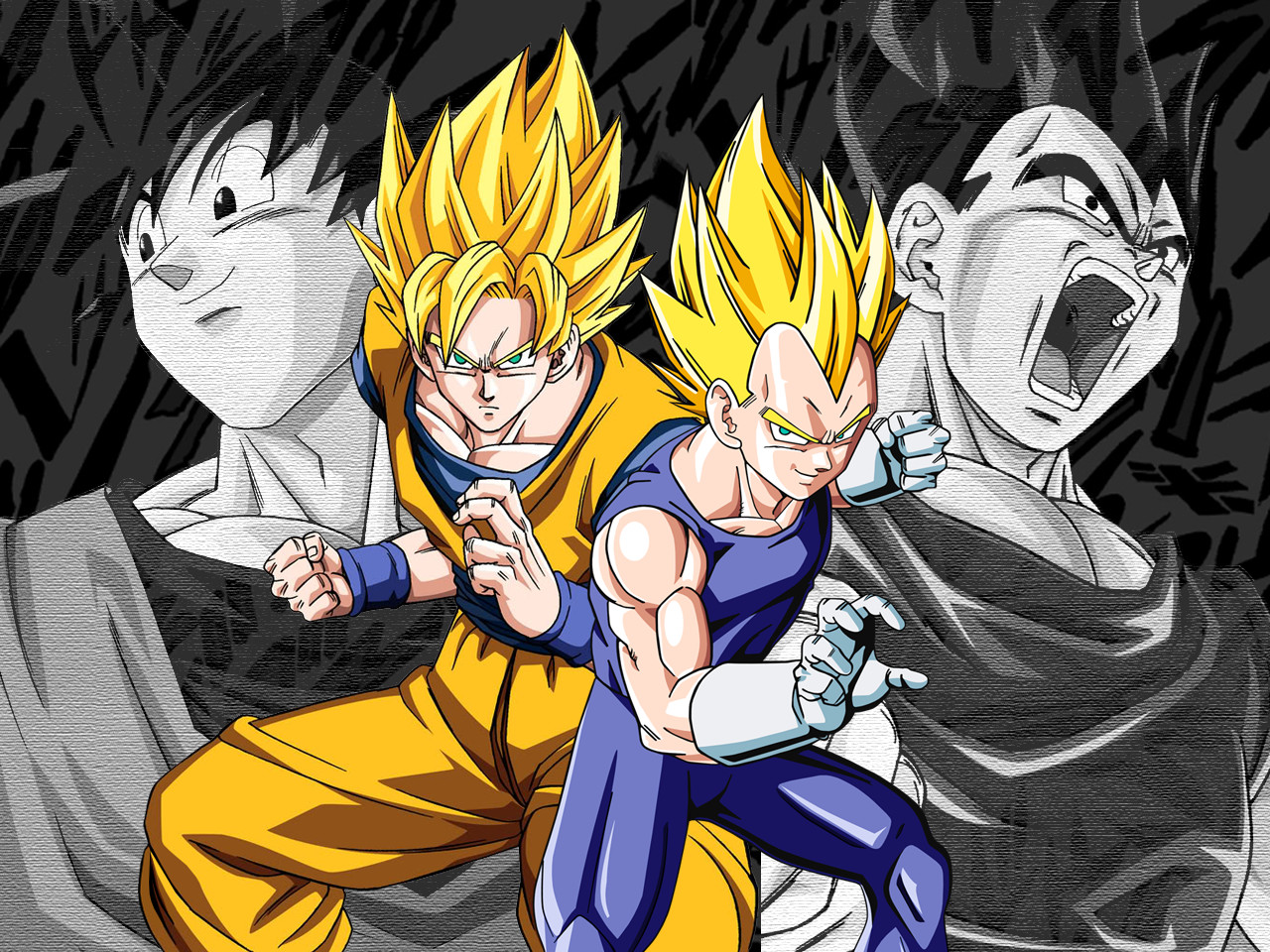 vegeta and goku